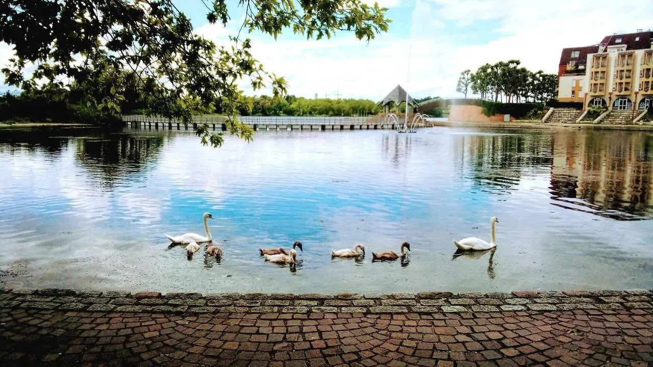 Vue Exceptionnelle Sur Le Lac Créteil 0*,