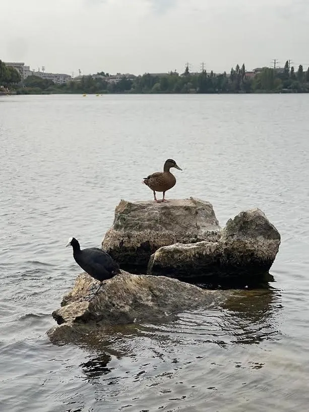 Vue Exceptionnelle Sur Le Lac Créteil 0*,  Francia